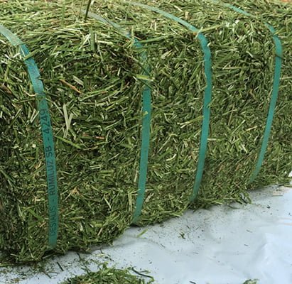 Lucerne Bale (Rumiluz Poultry) - Ballyholland Poultry