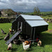 MOBILE CHICKEN HOUSE - 1.5 X 1.8 MT - Ballyholland Poultry