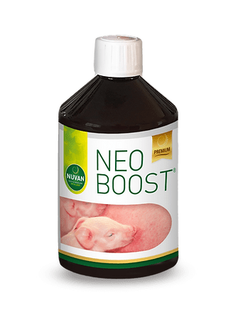 NEO BOOST - Ballyholland Poultry