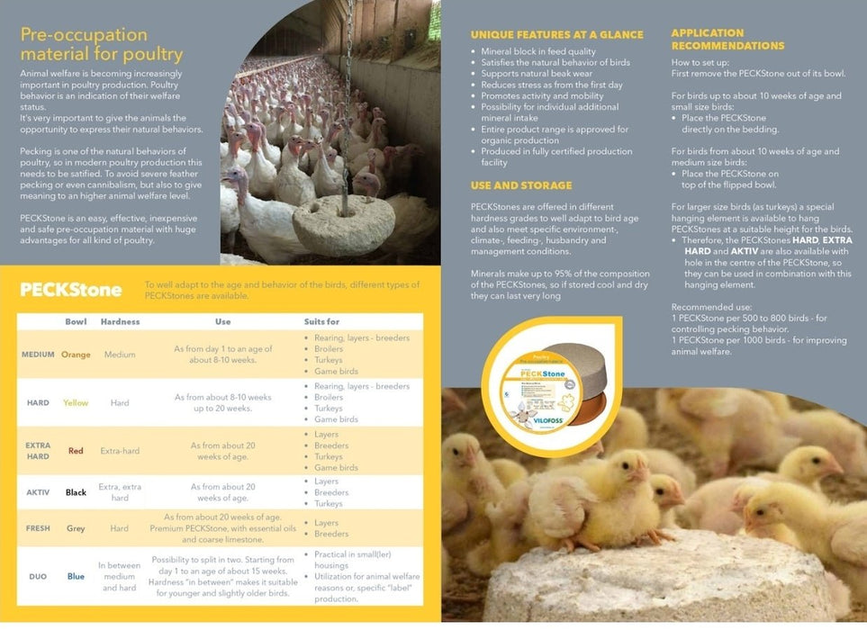 PECKSTONE - Ballyholland Poultry