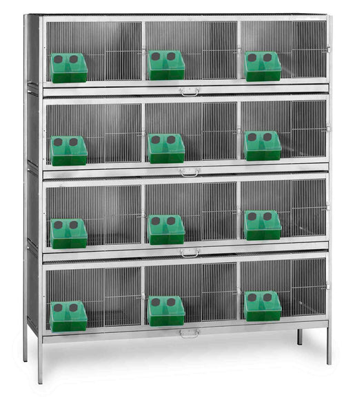 PIGEON CAGE 12 COMPARMENTS - Ballyholland Poultry