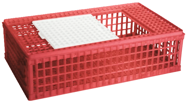 Poultry transport box | 1 door | plastic - Ballyholland Poultry