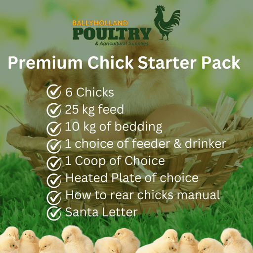Premium Chick starter pack - Ballyholland Poultry