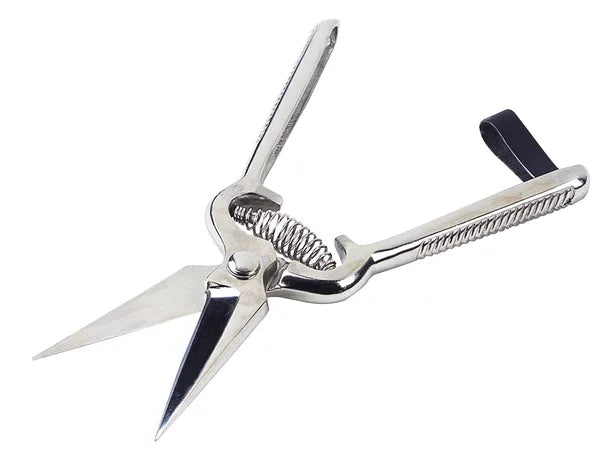 KAMER Sheep claw scissors steel (8 cm) | untoothed