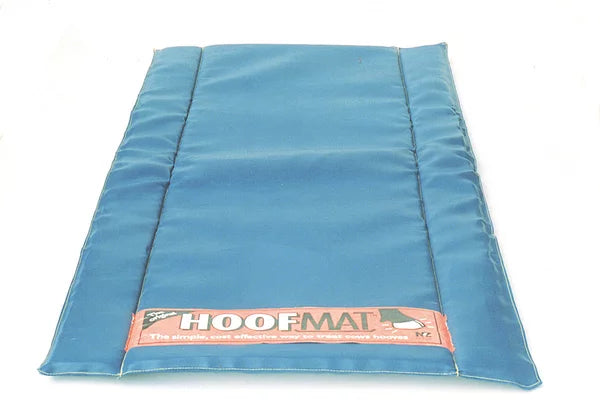 Disinfection mat Premium (180 cm x 90 cm) | 35 L