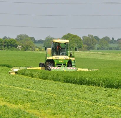 Rumiplus Mash - Ballyholland Poultry