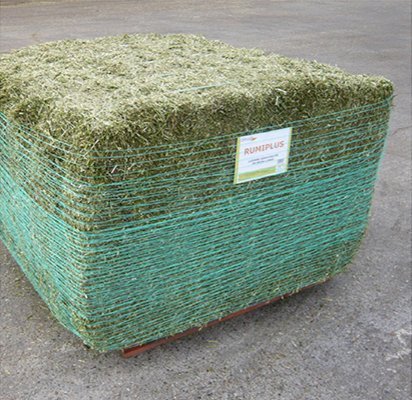 Rumiplus - Ballyholland Poultry