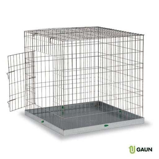 SHOW CAGE LARGE - Ballyholland Poultry