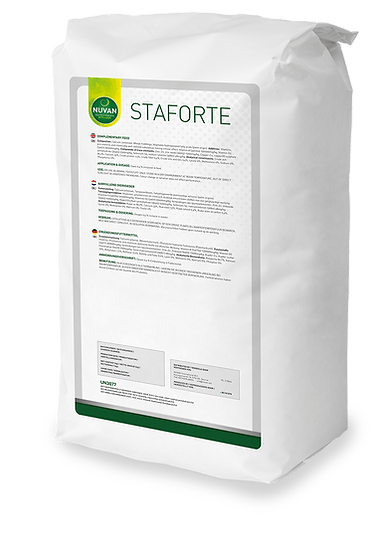 STAFORTE - Ballyholland Poultry
