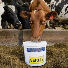 Standard Salt Lix - Ballyholland Poultry
