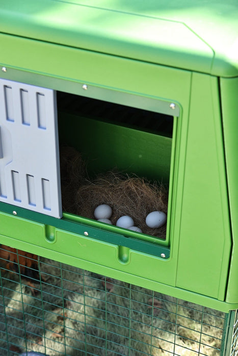 THE EGG CHALET - Ballyholland Poultry