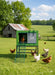 THE EGG LOFT - Ballyholland Poultry