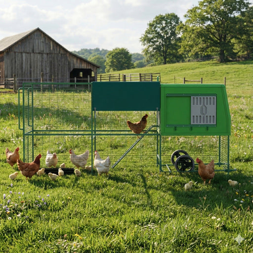 THE EGG PALACE - Ballyholland Poultry