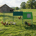 THE EGG PALACE - Ballyholland Poultry
