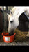 Tumeric - Ballyholland Poultry