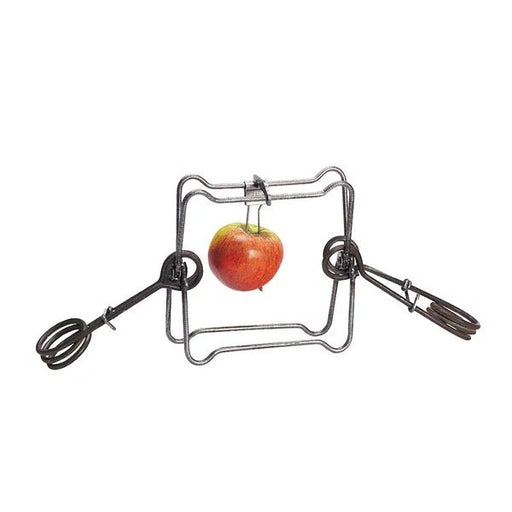 X-trap (18 cm) | 2 springs - Ballyholland Poultry