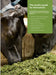 X-Zelit - Ballyholland Poultry