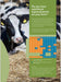 X-Zelit - Ballyholland Poultry